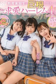 STARS-308 Hikari Aozora, Natsume Hibiki & Mei Miyajima – Harem 4P คะนองหมีรุมสีครูฝึกสอน