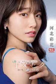 [ssis-762] Saika Kawakita หลอกให้กินยาปลุกเซ็กส์30วันก่อนถ่ายทำ
