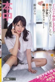 [HMN-273] Rima Arai กำนัลฟีลแฟนตอบแทนซุกหัวนอน