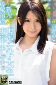 [HND-112] Nishino Ako อุดหนุนน้องรับงานใช้ทั้งวันใช้หีเลี้ยงครอบครัว