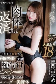 [IPZZ-173] Yume Nishimiya ฉันใช้หนี้แทนพ่อด้วยการยอมถูกข่มขืน